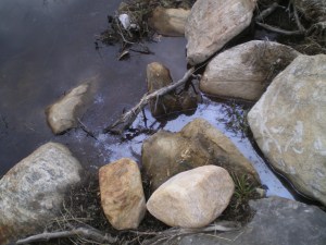 Copyright 2009 Nellie Jacobs