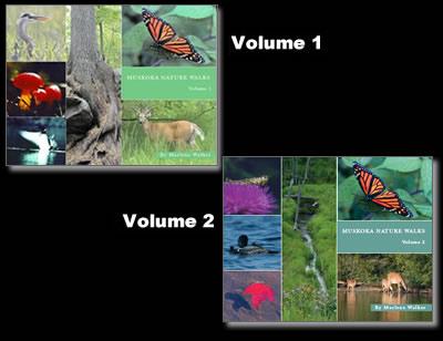 marlene-walkers-books