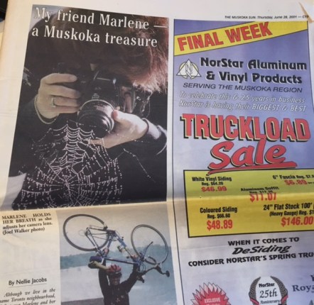 muskoka-sun-my-friend-marlene