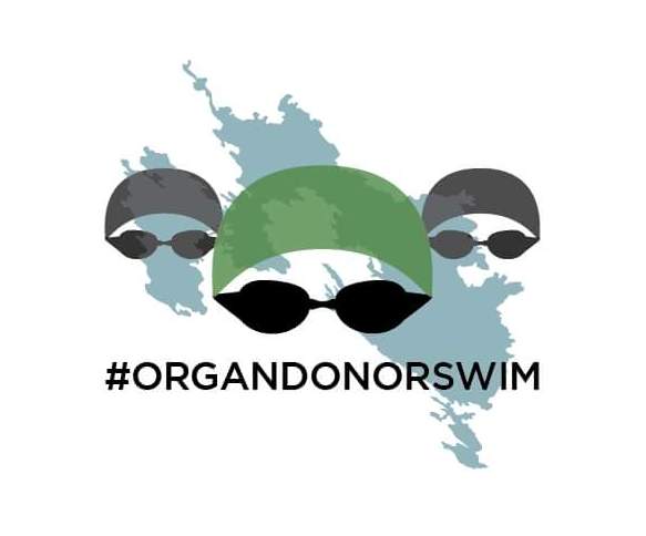 Organ Donor Swim1